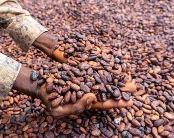 Screenshot_20251020-214151