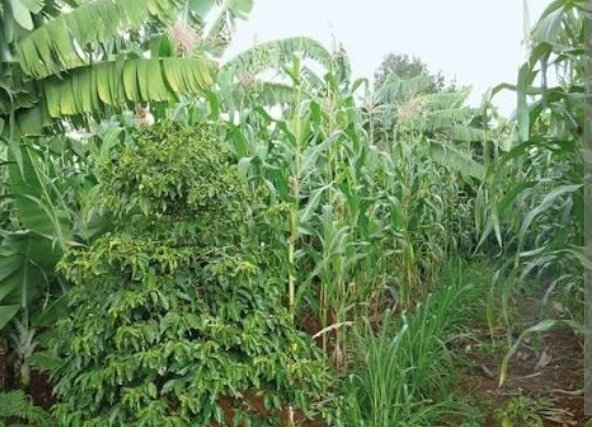 Screenshot_20251023-195636