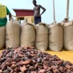 Screenshot_20251114-024321