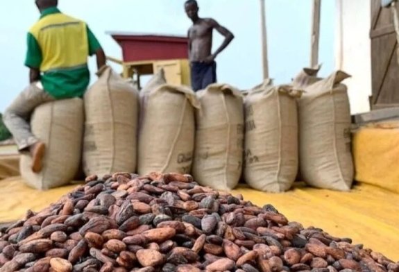 Screenshot_20251114-024321