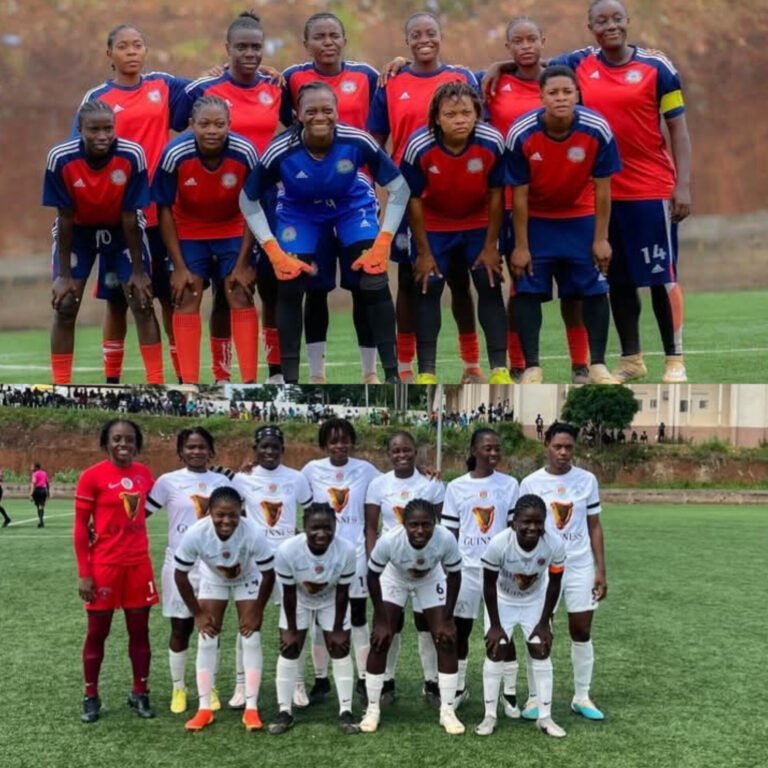 InShot_20260204_173549662