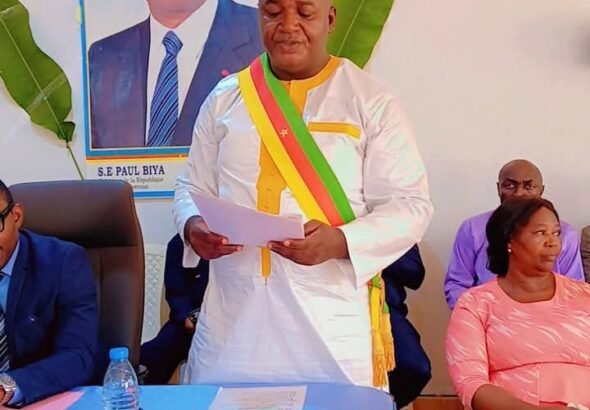 Screenshot_20260206-003235