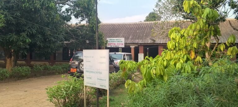 IMG_20260311_173350_563